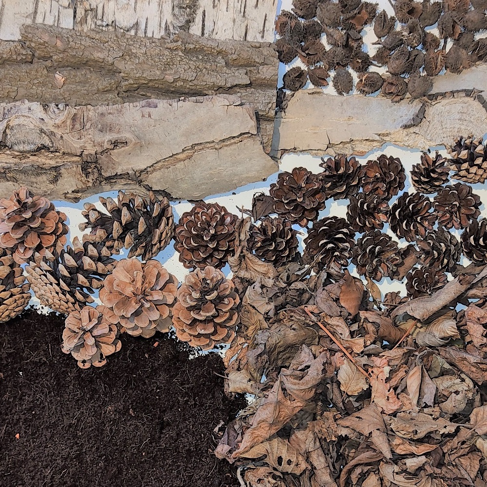 Tastbox Module Silke Grieß