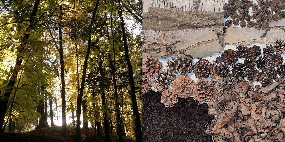 Tastbox Modul 2-3 Silke Grieß