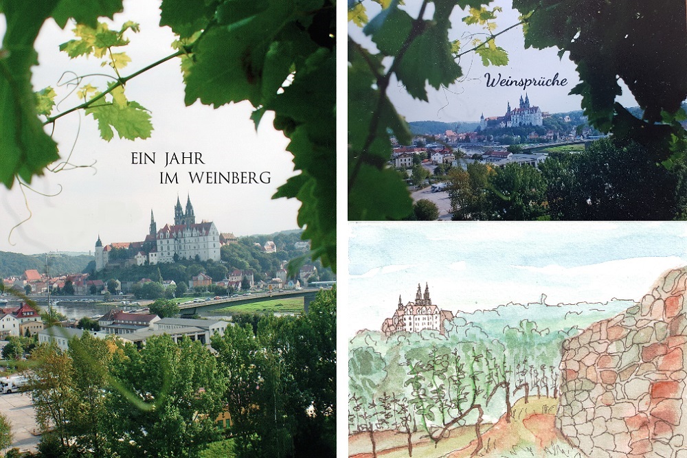 Ansicht Villa Grieß Dresden