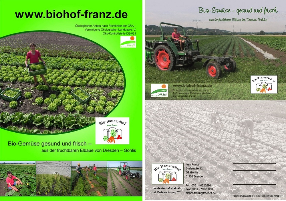 Ansicht Villa Grieß Dresden