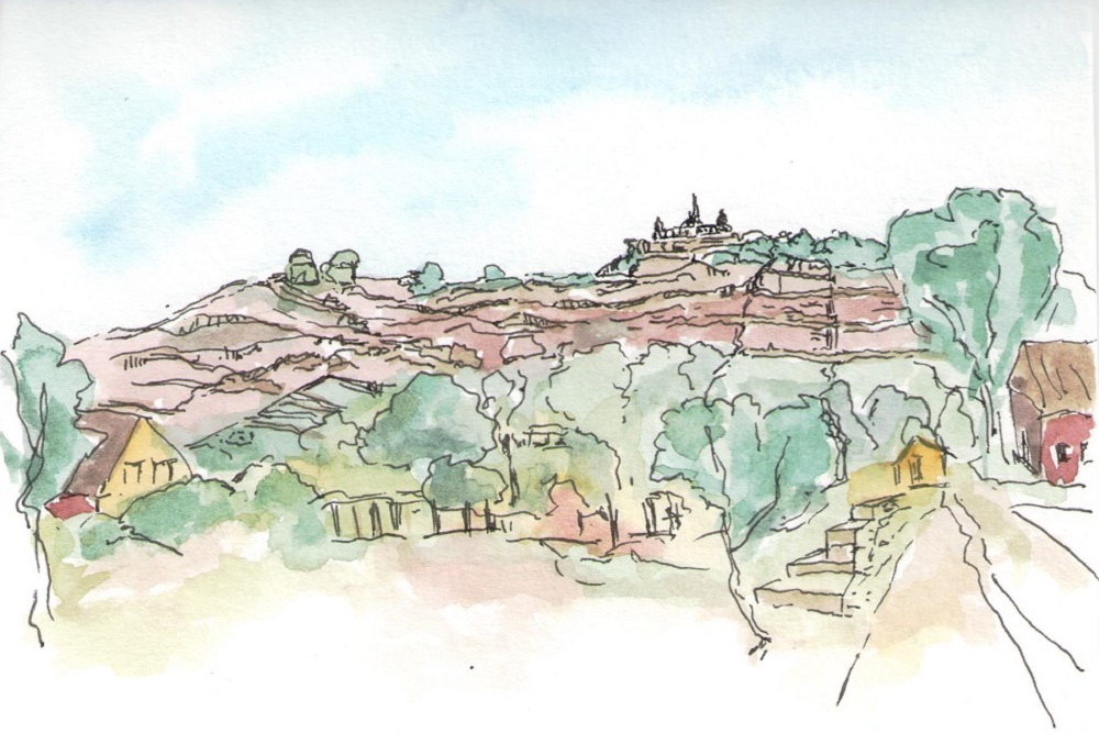 Radebeuler Weinberge Silke Grieß