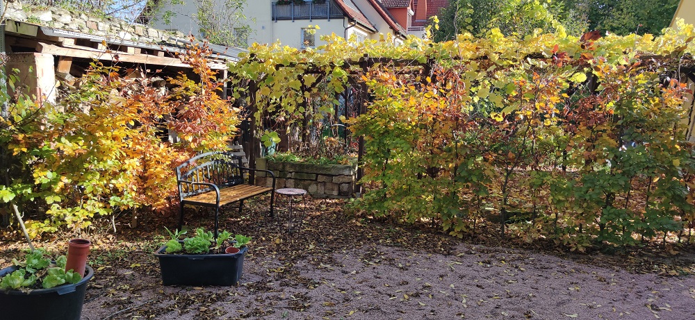 Ferienwohnung Villa Grieß